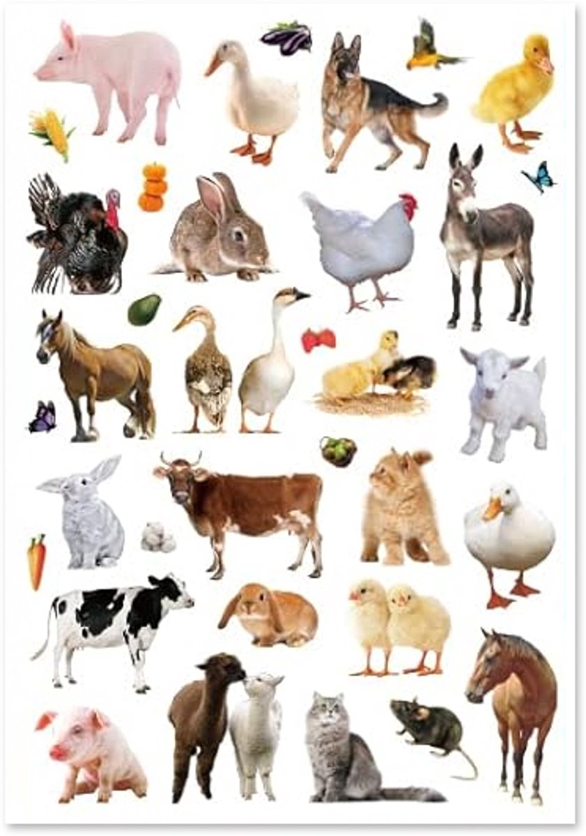 Boerderijdieren Stickers - 4 Grote Stickervellen Boerderij - Stickers Kind — afbeelding 6