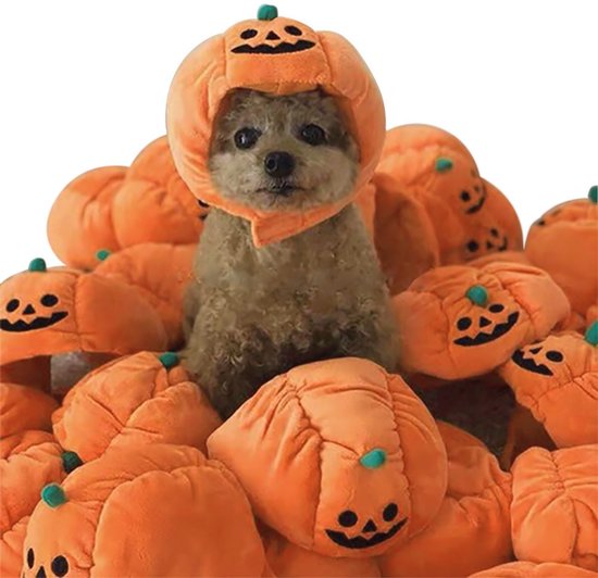 Joya Pets® Pompoen Hoed voor Huisdieren | Halloween Verkleed Hoedje voor Hond of Kat | Zachte Fluffy Verkleedaccessoire met Klittenband | Verstelbaar | Oranje