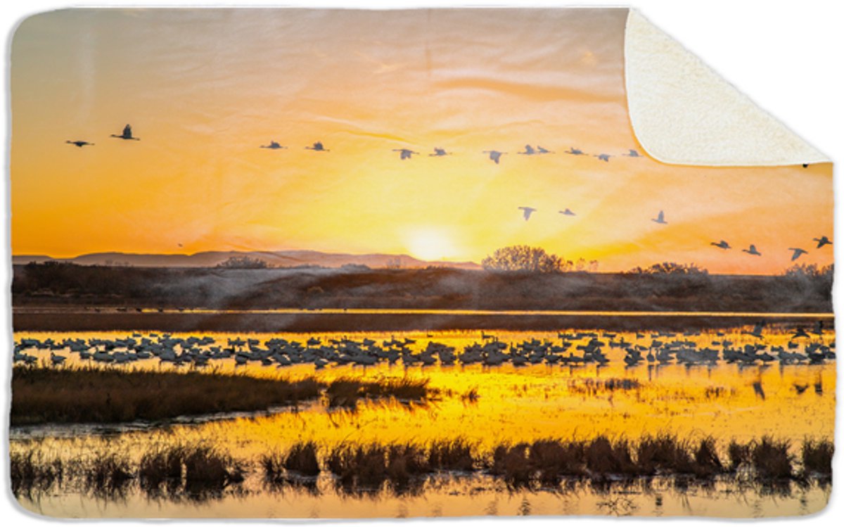 Fleecedeken Meer met vogels, 96x146cm, Polyester Sherpa, FD2025014