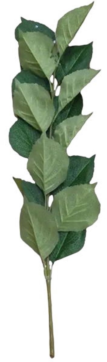 Buitengewoon Boet Kunst hortensia tak donkergroen 71 cm Buitengewoon de Boet