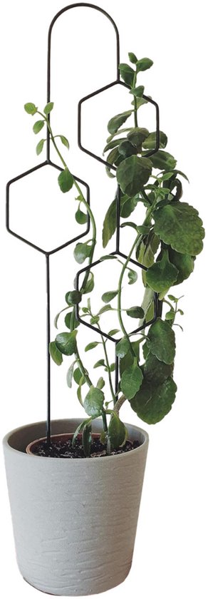 Foto: Dailysupplies klimrek planten plantensteunen voor klimplanten wandrek voor buiten hout nature zwart