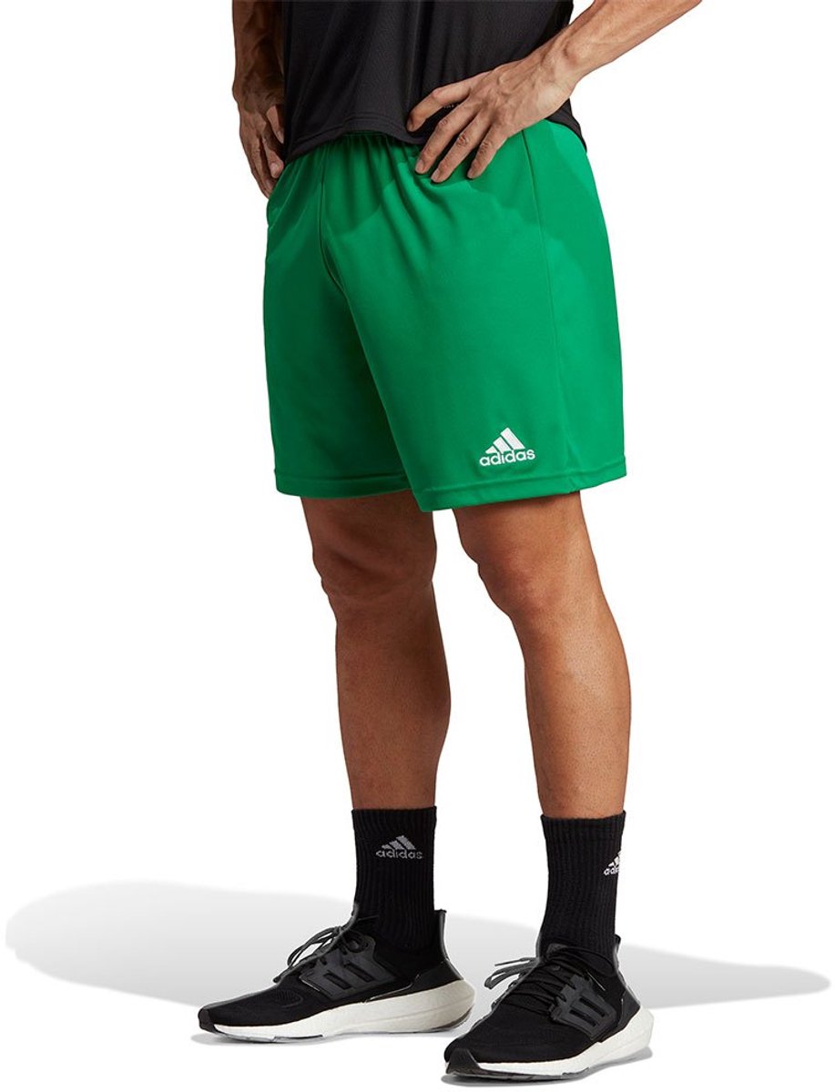 Adidas Ent22 Korte Broek Groen XL / Tall 3 Man