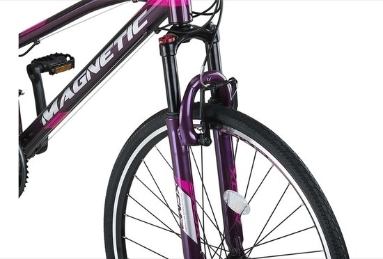 Altec Damesfiets Magnetic 28 Inch 52 cm Dames 21V V-Brakes Antraciet — afbeelding 4