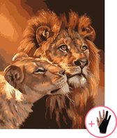 HobbyMania Schilderen Op Nummer Volwassenen Leeuw Leeuwin Dieren – 40x50 cm - Inclusief Tekenhandschoen - Paint By Number Volwassenen