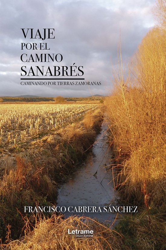 Viaje por el camino sanabrés - cover