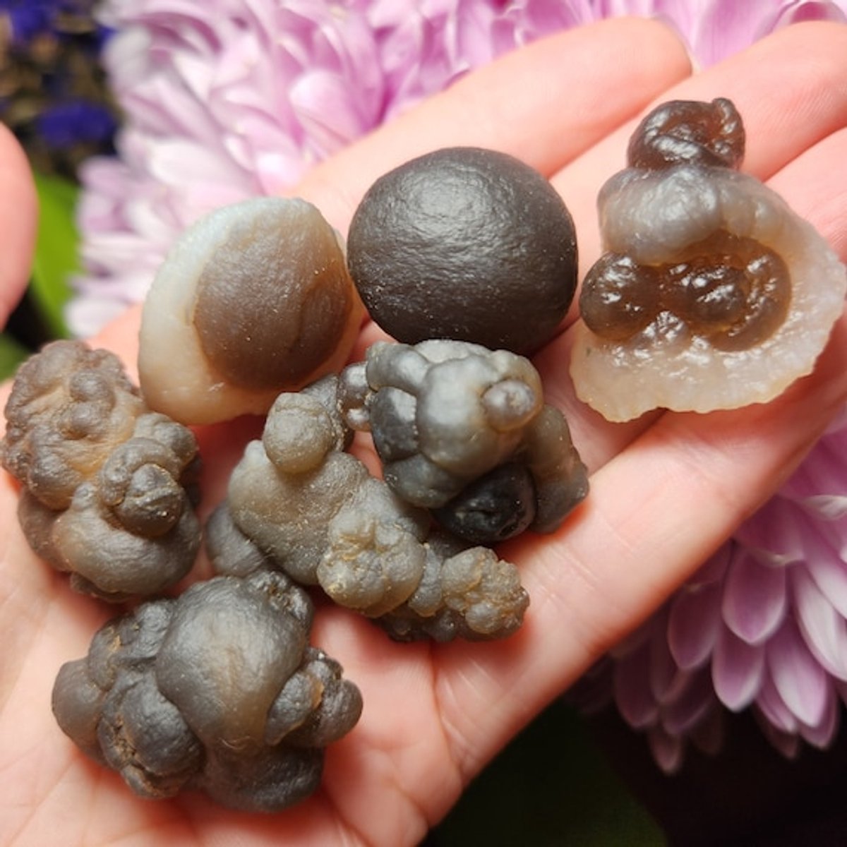 Truffel Chalcedoon - GeMineral