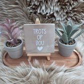 Robuust Wenstegeltje “Trots op Jou” - Tegeltjes met tekst - Cadeau - Geslaagd – Motivatie - vriend, vriendin, zus, familie, gezin, zomaar - Incl Standaard – CreaCraft