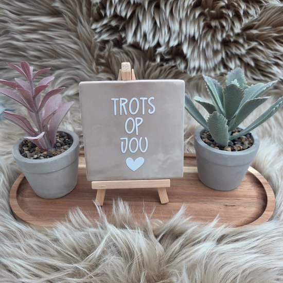 Keramisch Wenstegeltje 10x10 cm – “Trots op Jou” – Beige Spreuktegel – Lief Cadeautegeltje met Hartje – Trendy nu – Geslaagd – vriend(in), familie, gezin, zomaar