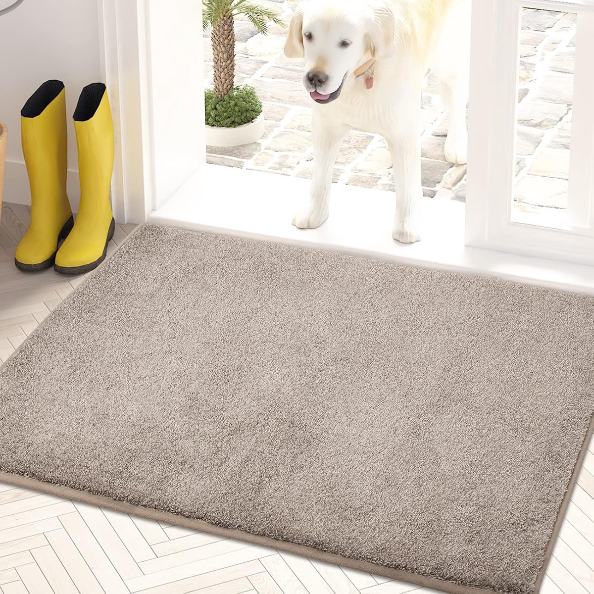 Deurmat - 61 x 90 cm - Antislip - Machinewasbaar - Entreemat, schoenreiniger, deurmat voor