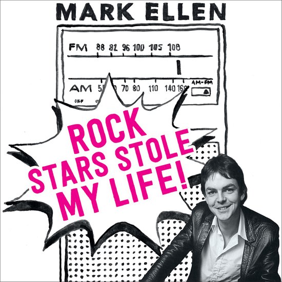 Rock Stars Stole my Life! - cover