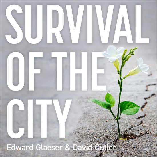Survival of the City - cover