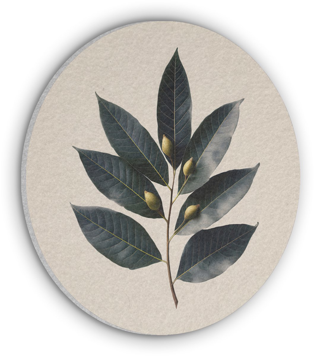Akoestisch wandpaneel rond 70x70 cm - Vilt schilderij Laurierbladeren - Bloemknoppen - subtiel - Ronde akoestische panelen - Geluidsdempende wanddecoratie - Geluidsisolatie wandcirkel - Muurdecoratie geluidspanelen
