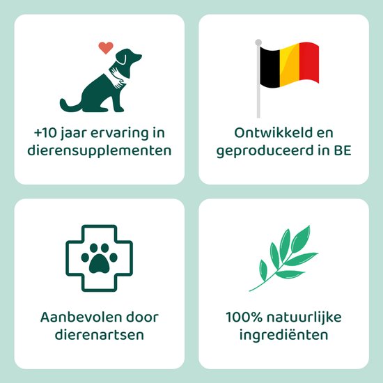 Oorreiniger voor Honden - Oordruppels - Diepe Reiniging & Bescherming tegen ongemakken - 100 ml - 100% Natuurlijk & Veilig - Oorverzorging - Vermindert Oorjeuk, Roodheid, Overmatig Oorsmeer, Uitvloeiing