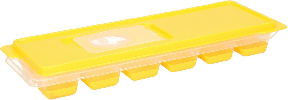 Excellent Houseware IJsklontjes - ijsblokjes vormpjes - 12 vaks - plastic - met afsluitdeksel