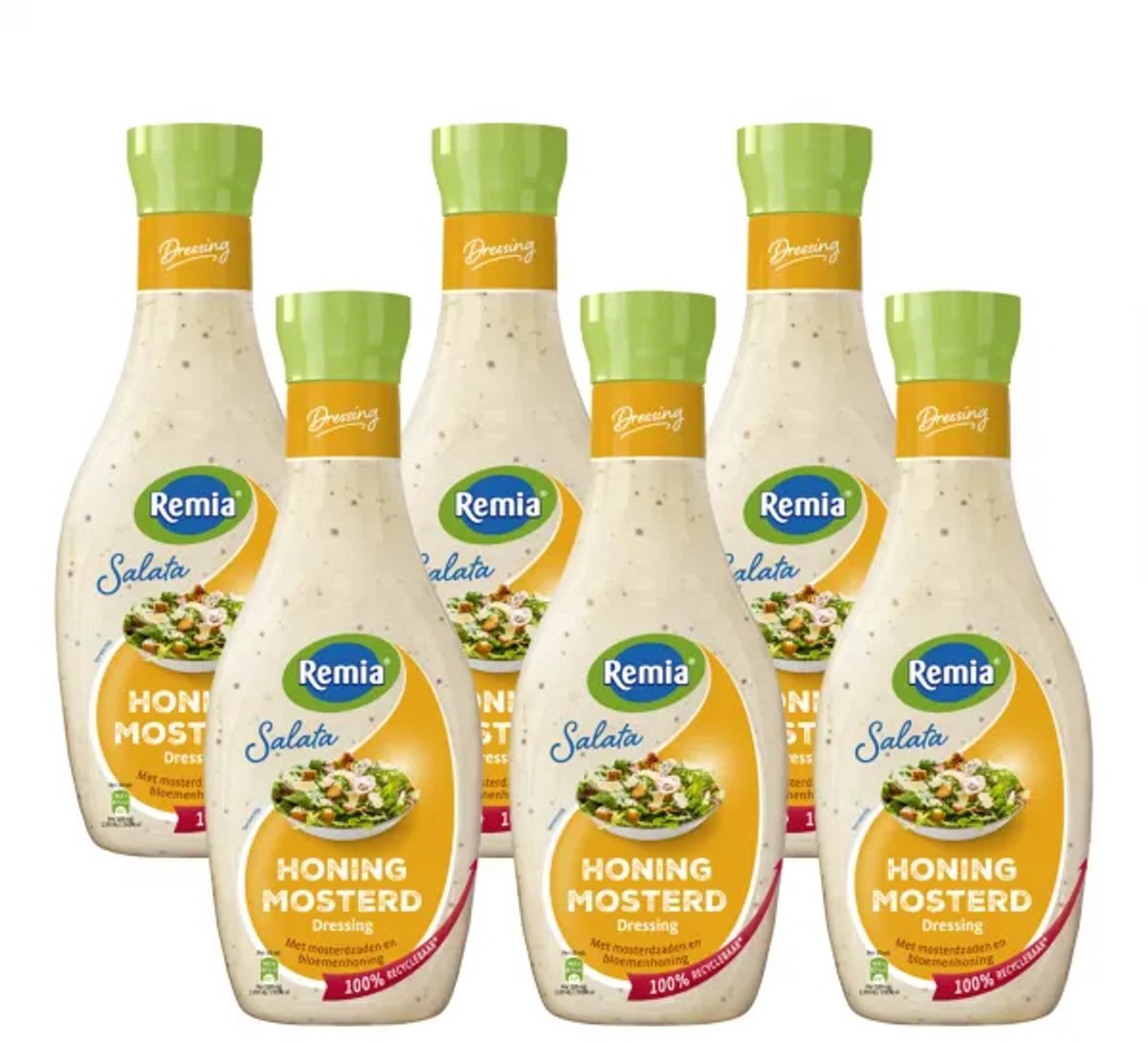 Remia Salata Honing Mosterd (6x 450ml)