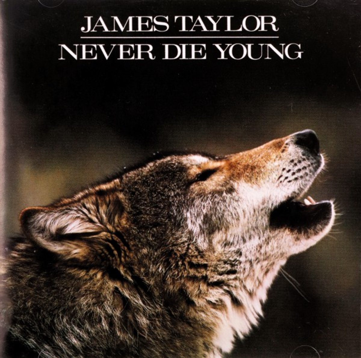 Never Die Young