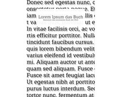 Lorem Ipsum das Buch