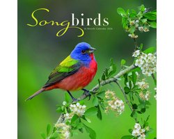 Songbirds Kalender 2026