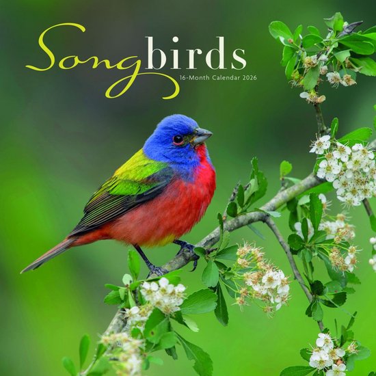 Songbirds Kalender 2026