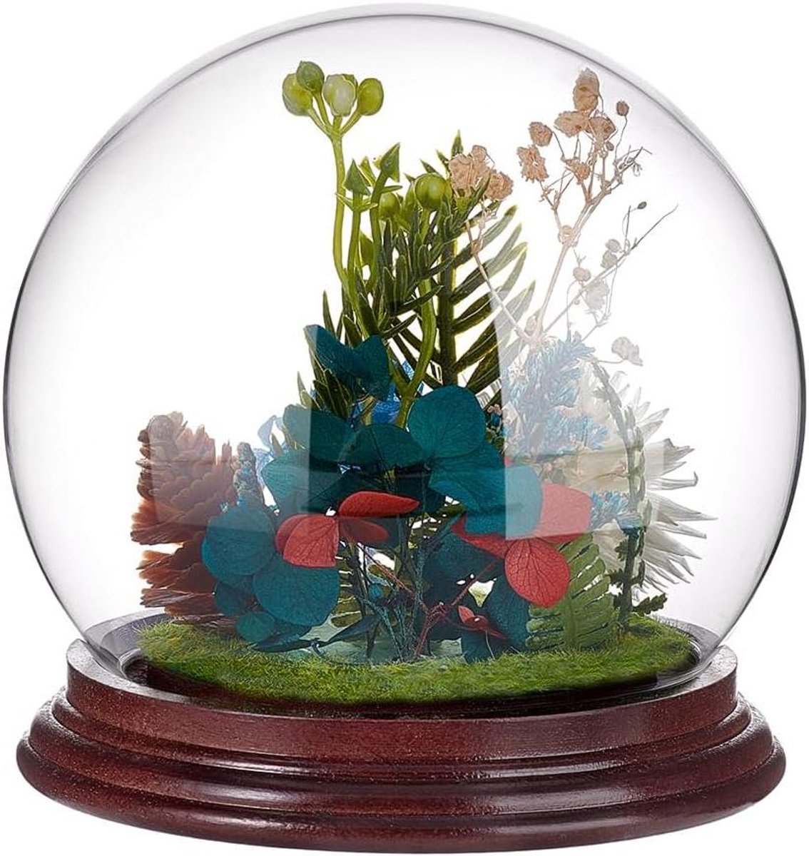 Allecto plus - Glazen Cloche Display Dome met Base - Vintage Stijl - Horloge Sieraden Display - Miniaturen Display - Bell Jar Stand