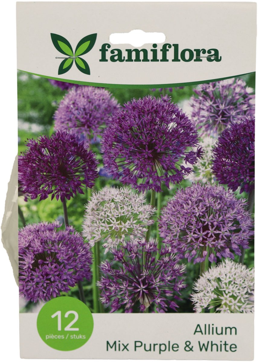 Famiflora Allium Mix Paars/Wit - Voorjaarsbloeiers - 12 bloembollen - Bloeien van vroege lente tot middenjaar voor langdurige kleur en levendigheid in je tuin