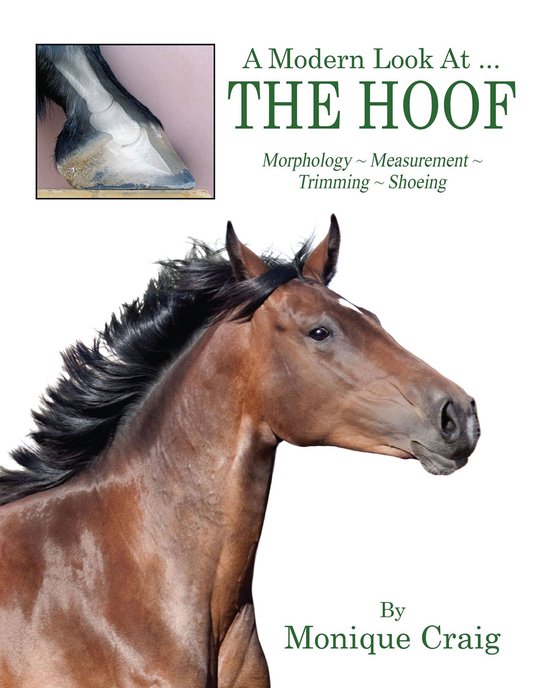 A Modern Look At ... THE HOOF - cover