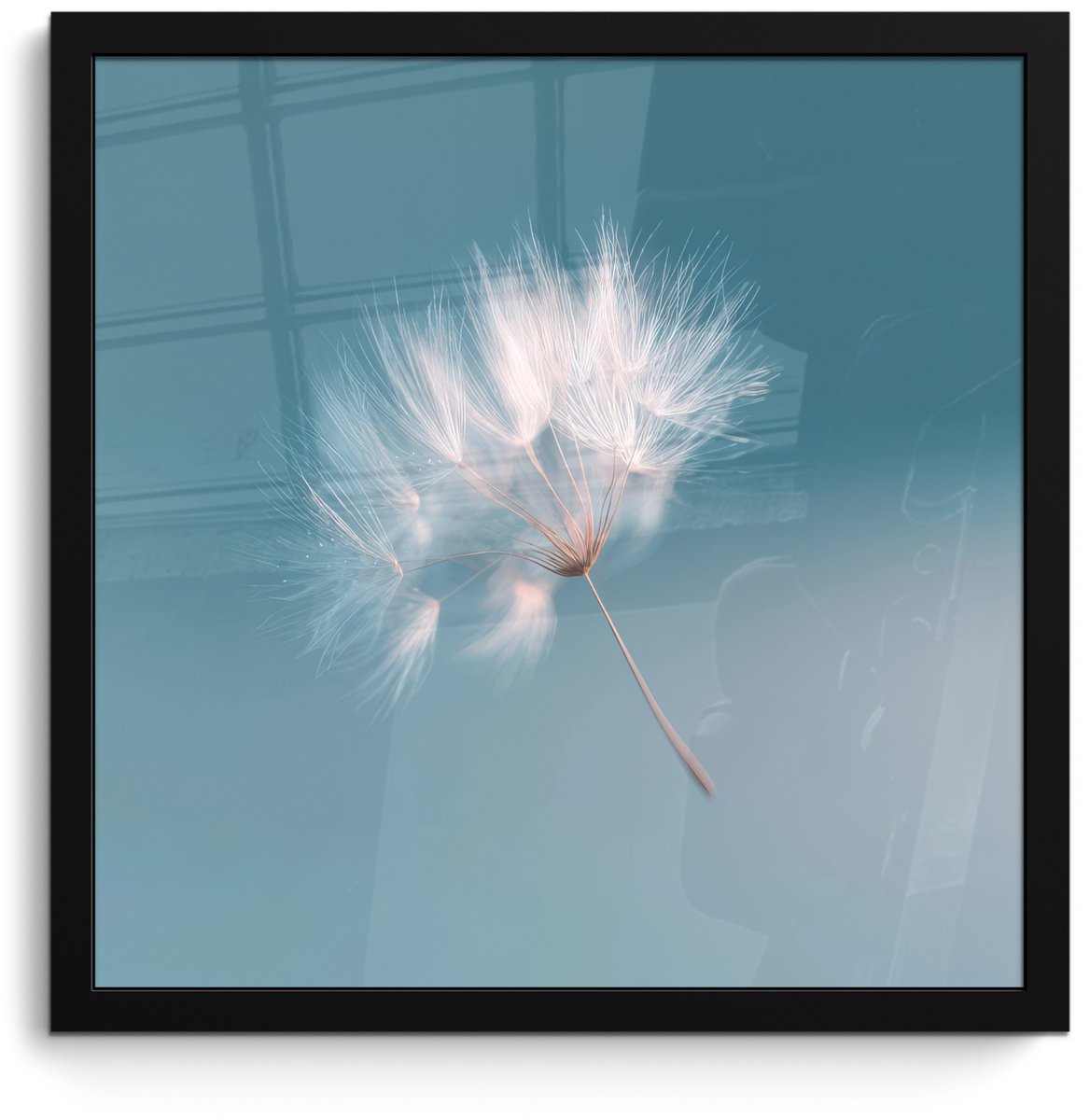 FrameYourWall Poster in lijst - Fotolijst 40x40 cm - Posters - Paardenbloempluisje - Blauw - Lucht - Posterlijst zwart - Decoratie - Wanddecoratie woonkamer - Muurdecoratie slaapkamer