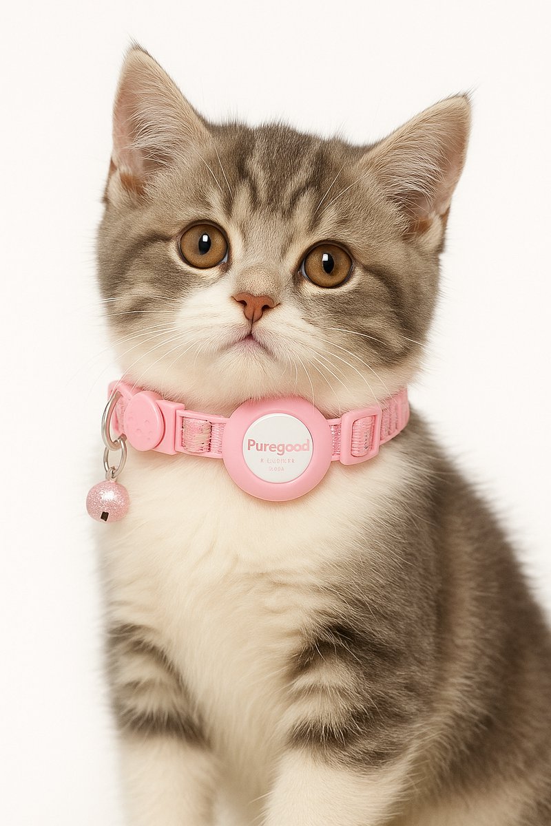Kattenhalsband 2x - Reflecterend, Veiligheidssluiting met Airtag Houder – Verstelbare Halsband voor Kat & Kitten – Zwart, Roze Blauw – Geschikt voor Grote & Kleine Katten
