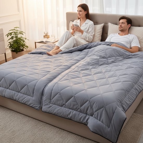 Bedsupplies - 4 Seizoenendekbed - Wasbaar Dekbed - Dekbed Zonder Overtrek - 200x220 - Grijs