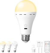 BHMAOYN Edison led-gloeilamp, USB-lamp op batterijen voor slaapkamer