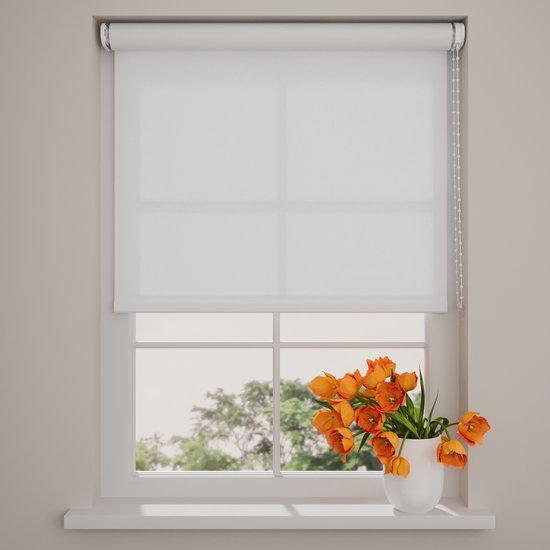 DTCH® Store enrouleur durable Eco Essence - Translucide - Blanc - 180 x 190 cm