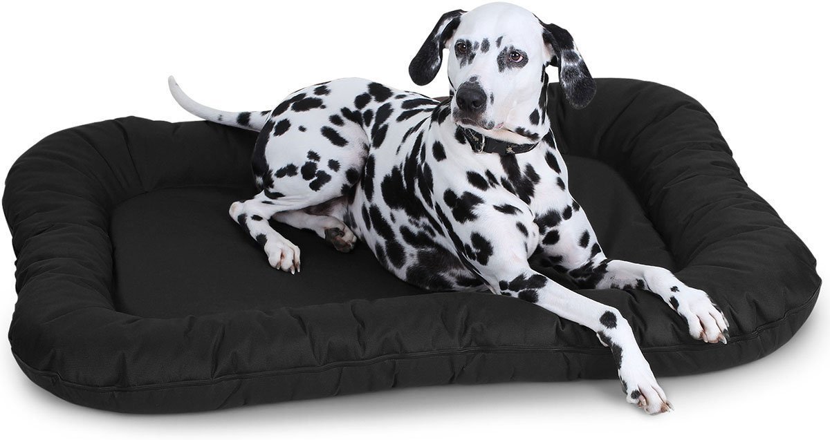 Knuffelwuff waterbestendig hondenbed voor binnen en buiten Lucky L 70 x 46cm zwart