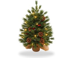 NAIZY Kleine Kerstboom met Lichtjes, 60 cm Mini Kunstkerstboom, Werkt op Batterijen met Decoratieve Lichtslinger, 30 Warm Witte LED's, Kerstboomversiering, Dennenappels + Bessen