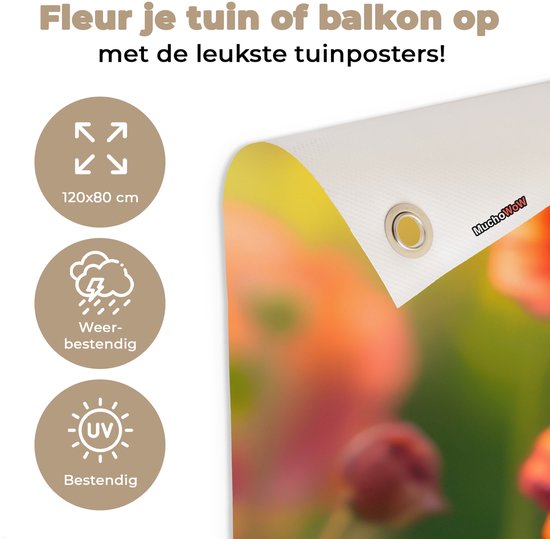 Detail van een tuinposter met oranje klaprozen. Text: Fleur je tuin of balkon op met de leukste tuinposters! 120x80 cm, Weerbestendig, UV-bestendig.