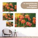 Een poster met oranje klaprozen, getoond in verschillende formaten: 180x120, 120x80, 90x60, 60x40.