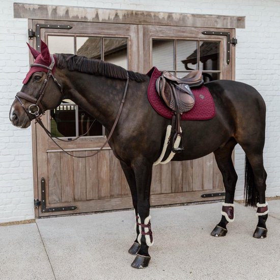 Bruin paard met bordeauxrode outfit: oornetje, zadeldek, strijklappen, peesbeschermers.