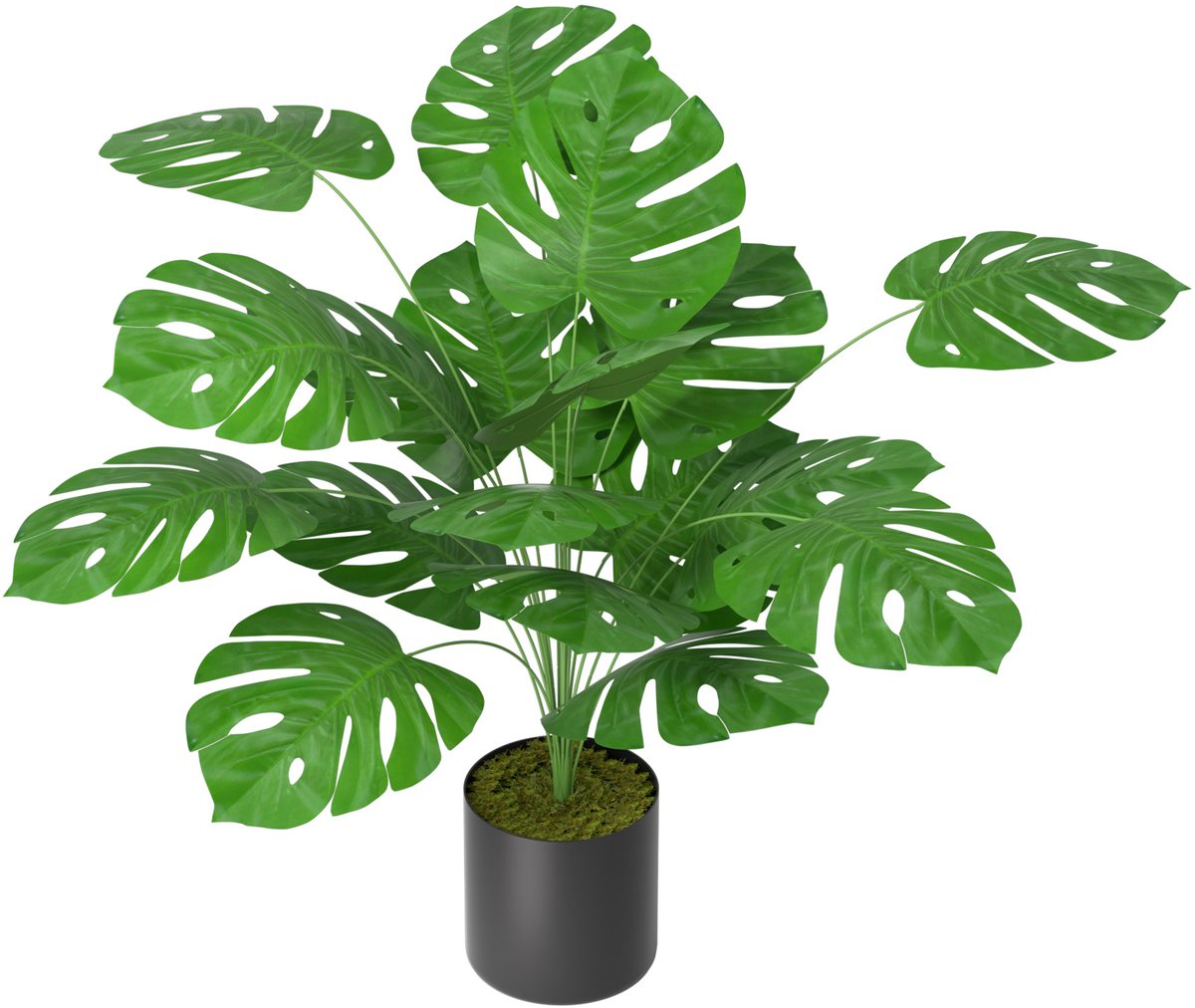 LEELONG Aufun Kunstplant Schildpaddenboom 40cm Kunstplanten Zoals Echt Met Stam Van Natuurlijk Hout Kunstboom Voor Woonkamer Slaapkamer Kantoor Decoratie Groente