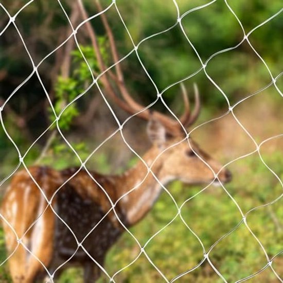 AGROHIT Vogelnet, scheurvast en fijnmazig tuinnet, afdekking voor bloembedden, planten en vijvers, beschermingsnet tegen vogels, vuil en bladeren, net voor groenten en fruit, 8 x 8 m, 64 m²