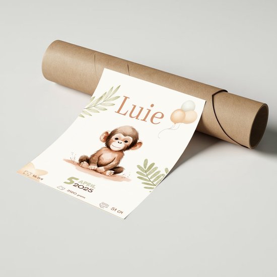 Affiche Bébé / naissance - Singe - Personnalisée avec naam et détails de naissance - 43 x 61 cm - Affiches Bébé