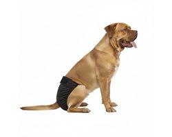 Loopsheidbroekje hond - zwart - maat XXL - voor grote teefjes - herbruikbaar - hondenbroekje - hondenluier - loopsheid - ongesteldheid - voorkomt ongewenste zwangerschappen bij teefjes - milieuvriendelijk - verantwoord - perfecte pasvorm