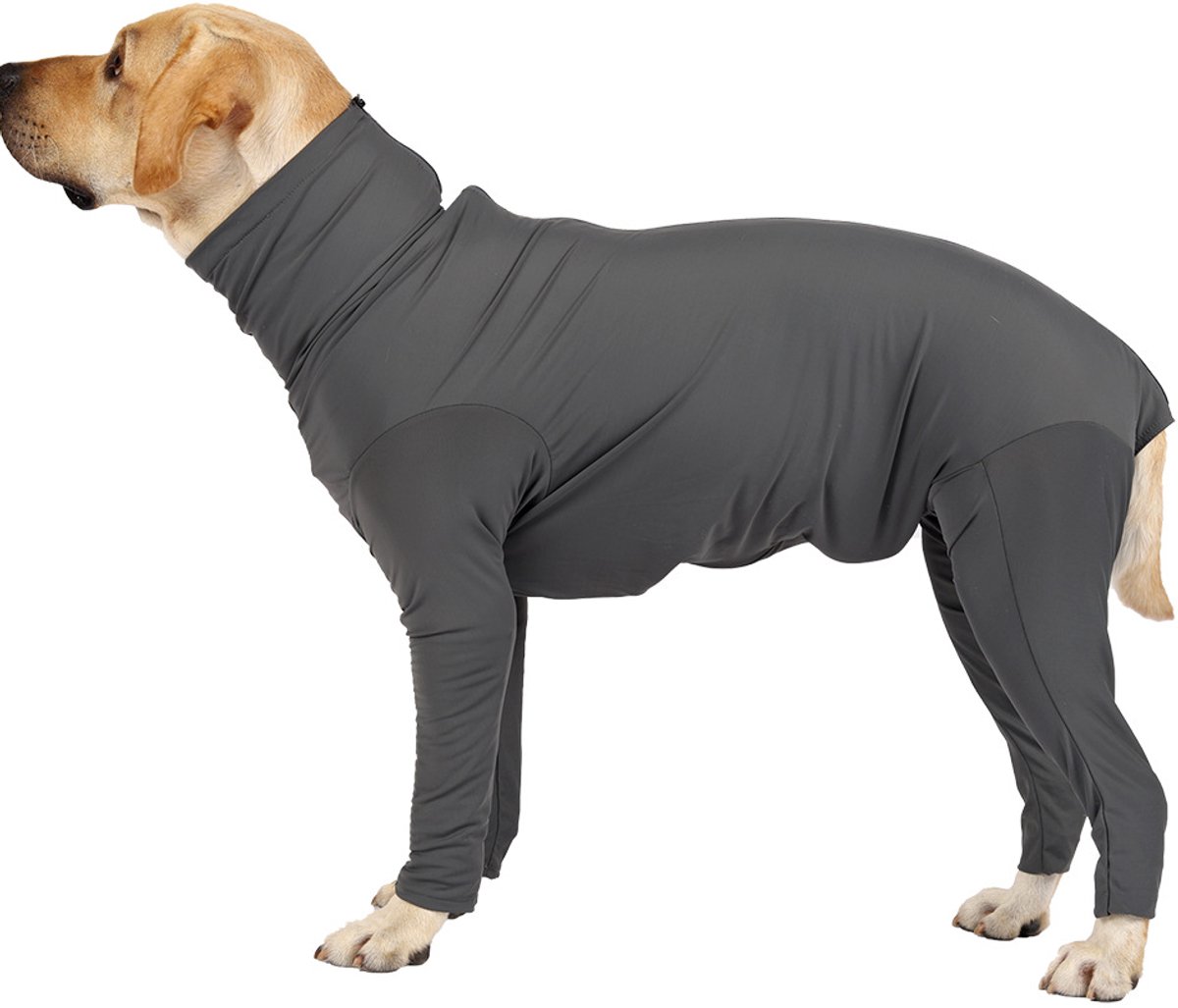 Jumpsuit voor honden Verstelbaar ontwerp XXL Grijs
