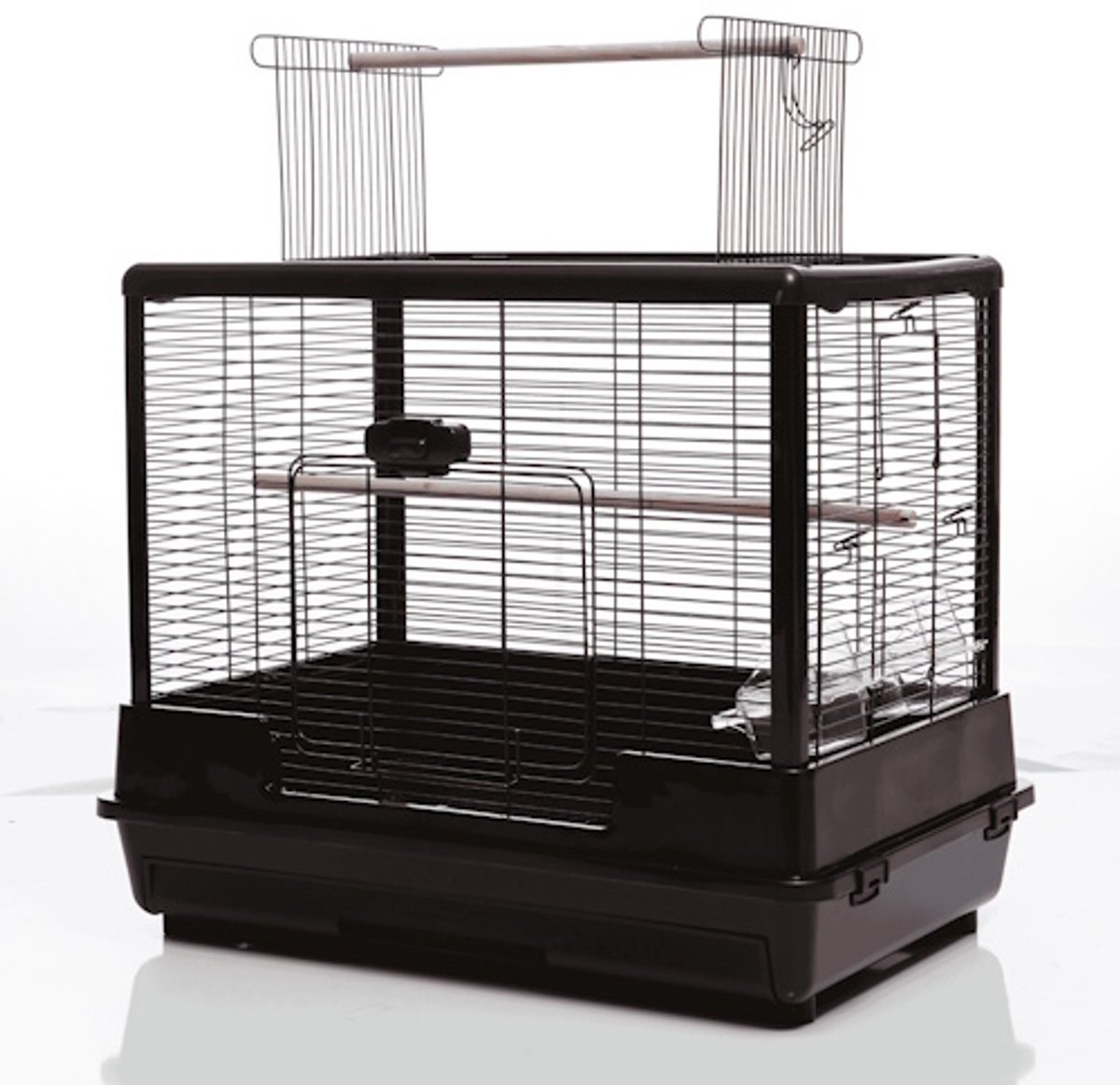 @Pet Vogelkooi Ceasar M Zwart