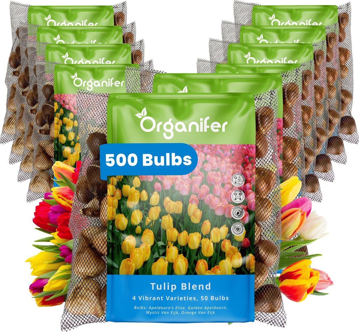 500 Tulpen - 4 Levendige Soorten - XXL Bolmaat 12 cm/+ - Bloembollen - Tulipa - Kleurenmix - Zomerbollen - Voorjaarsbollen - Trekt vlinders en bijen aan - Vaste planten - Organifer
