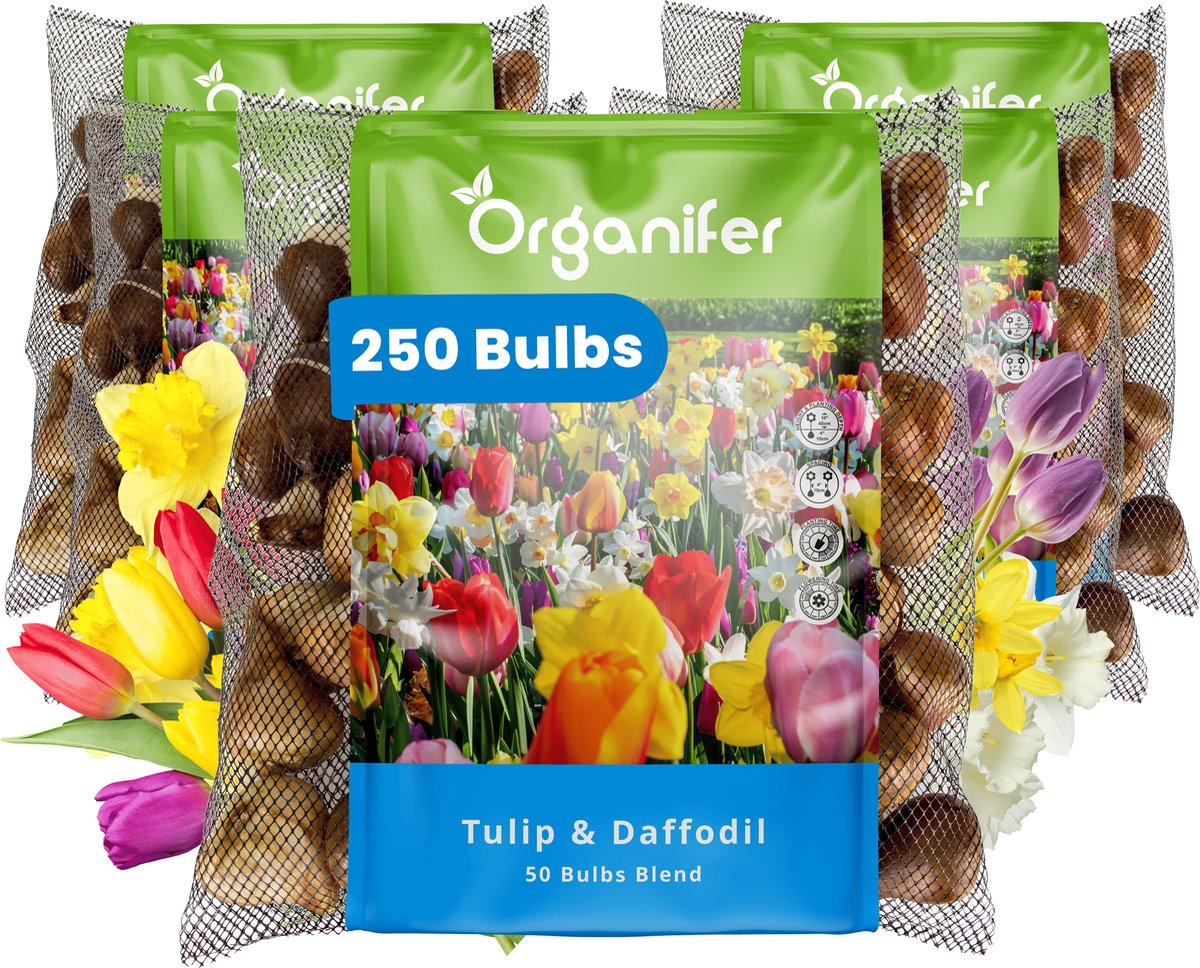 250 Tulpen- en Narcissen Mix - 8 Soorten - XXL Bolmaat 12/14 cm/+ - Bloembollen - Narcissen - Kleurenmix - Zomerbollen - Voorjaarsbollen - Trekt vlinders en bijen aan - Vaste planten - Organifer