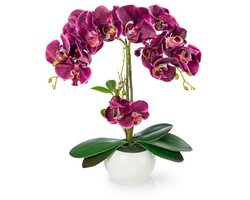 PASCH Art orchid in shiny ceramic pot (40 cm) | Like a real flower