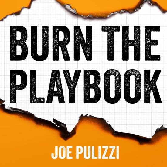 Burn the Playbook - cover