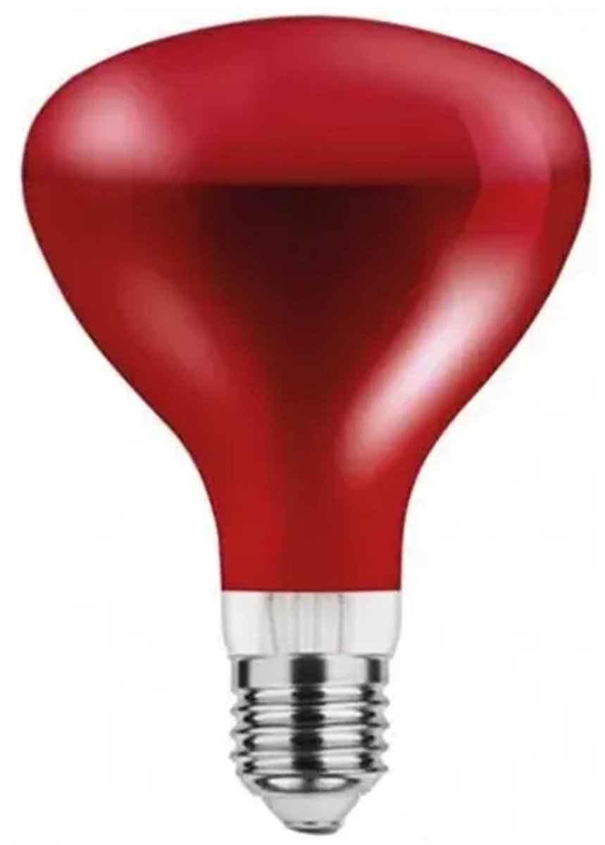 Asalite Infrarood Warmtelamp Rood G95 E27 - 100W - 2800K - IR Verwarmingslamp - Ø95mm