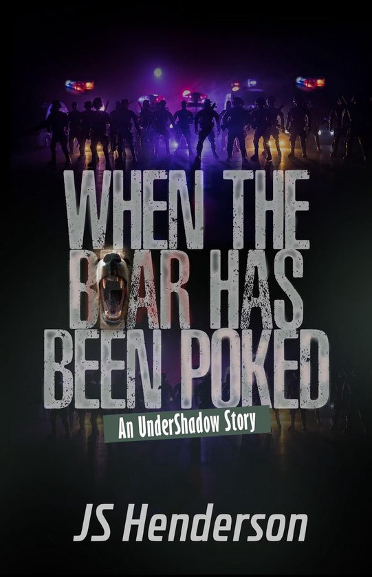 The UnderShadow Saga 2 - When The Bear Has Been Poked - cover
