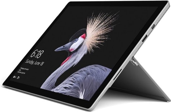 Microsoft Surface Pro 5 tablet in zilver met een afbeelding van een kraanvogel op het scherm.
