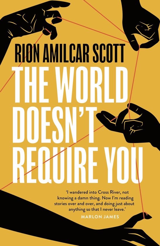 The World Doesn't Require You - cover